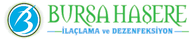 Bursa Haşere Dezenfeksiyon ve İlaçlama